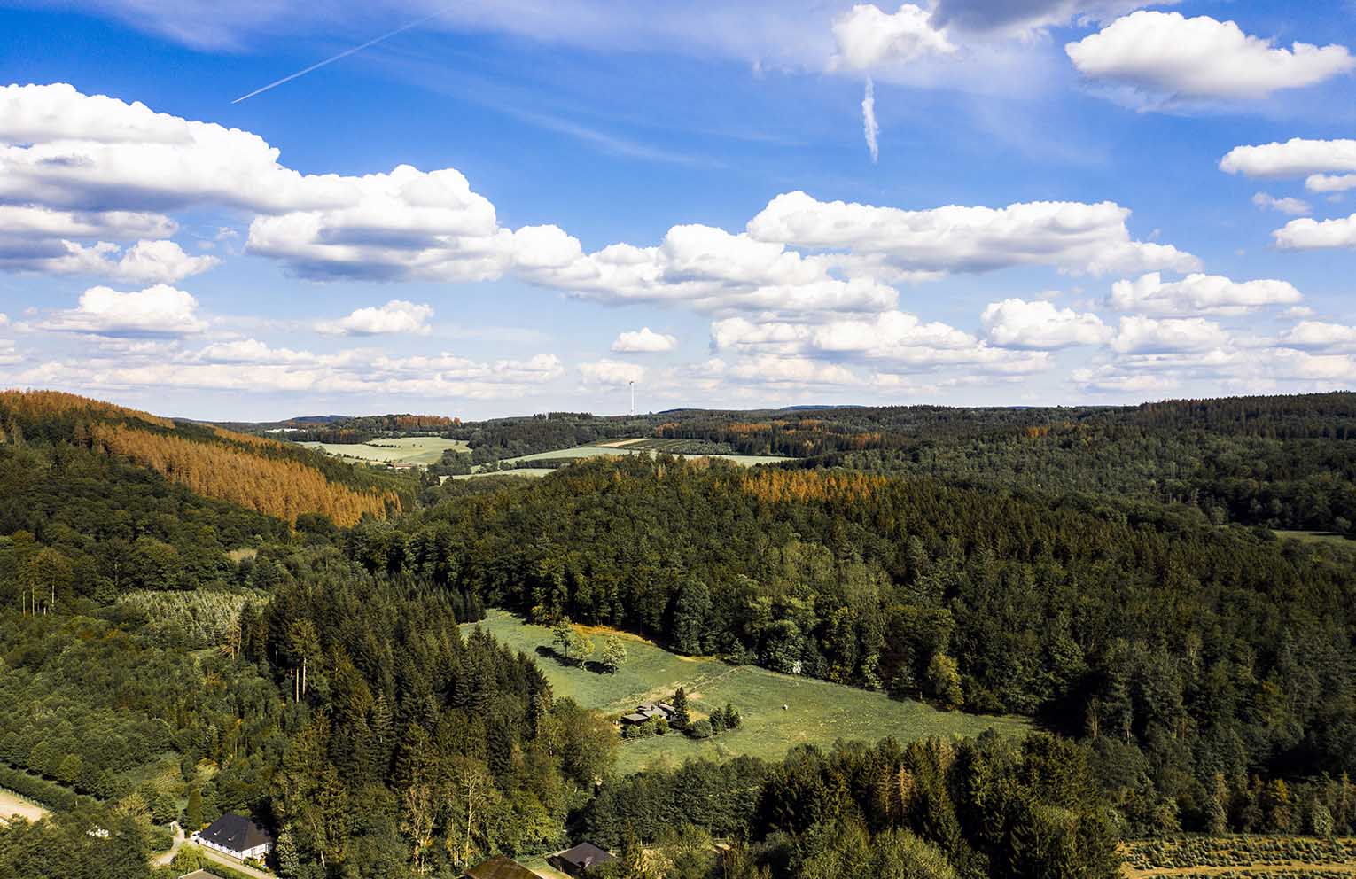 Séjour Oxygène dans les Vosges