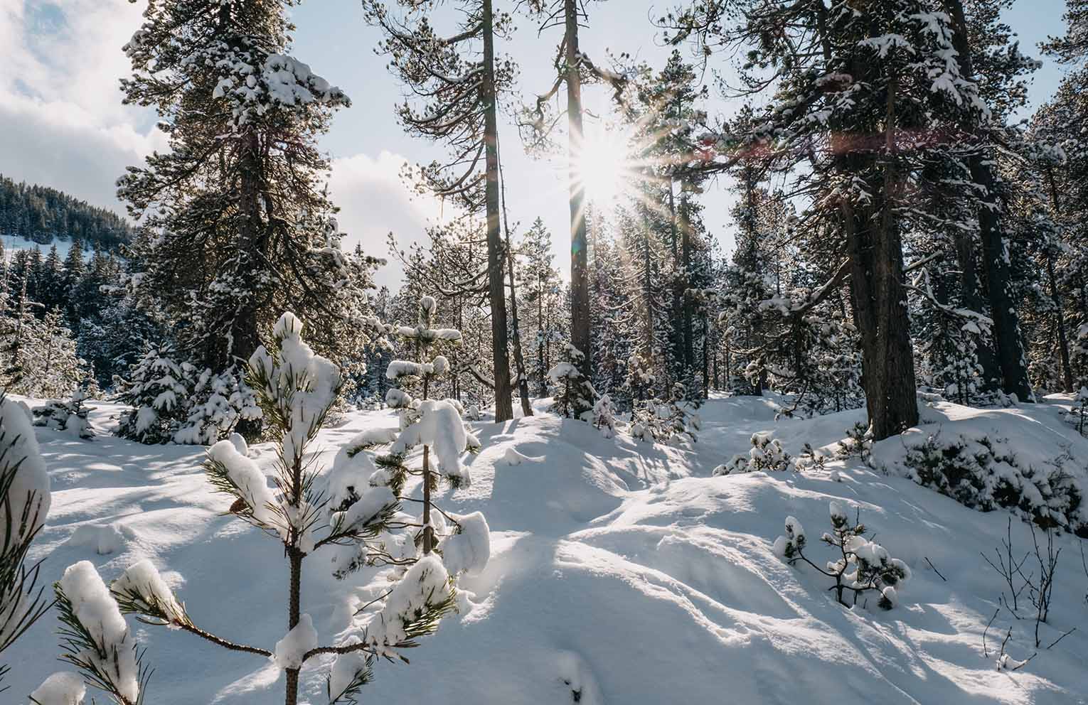 Séjour Oxygène à La Bresse dans les Vosges
